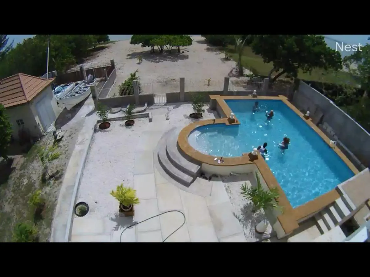 Blue Dolphin Guest House Black River Jamaica