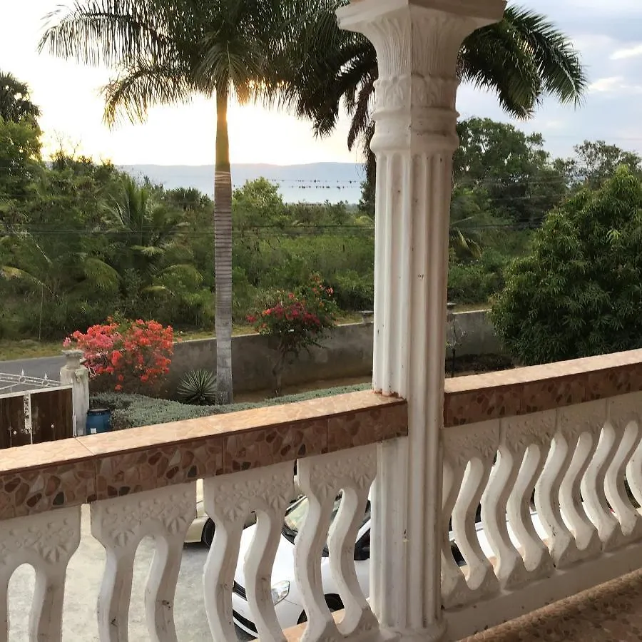 Blue Dolphin Guest House Black River