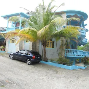 cotton-tree-place-hotel.hotelsnegriljamaica.com/